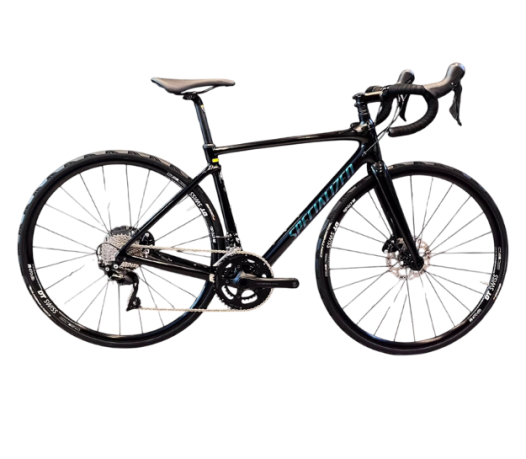 Specialized Roubaix 